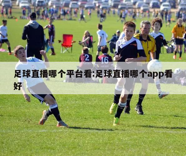 足球直播哪个平台看:足球直播哪个app看好