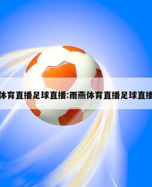 体育直播足球直播:雨燕体育直播足球直播