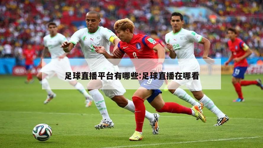 足球直播平台有哪些:足球直播在哪看