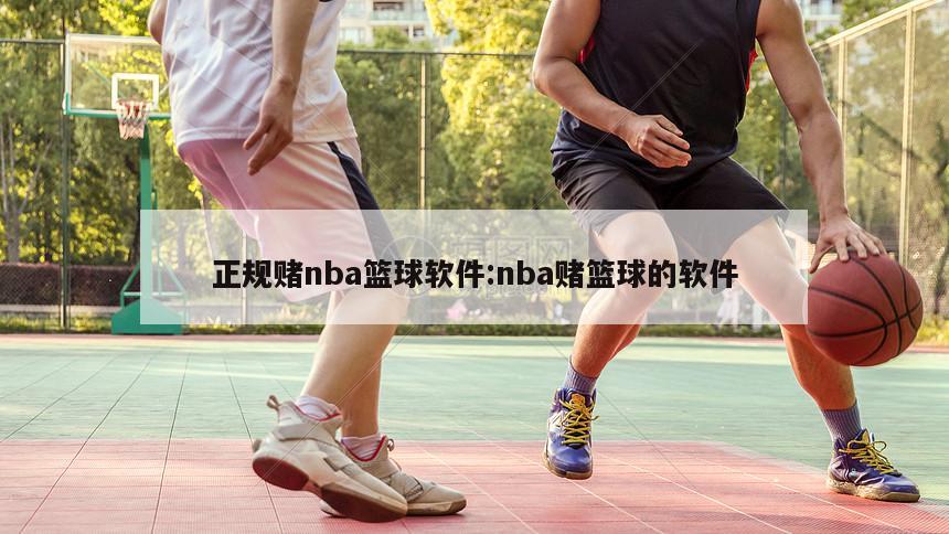 正规赌nba篮球软件:nba赌篮球的软件