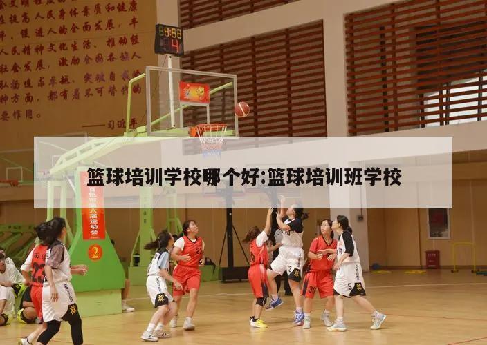 篮球培训学校哪个好:篮球培训班学校