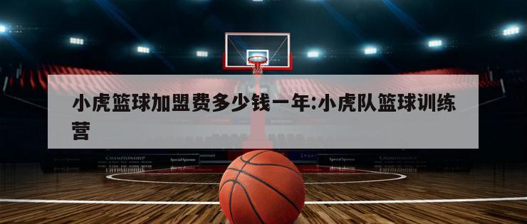 小虎篮球加盟费多少钱一年:小虎队篮球训练营